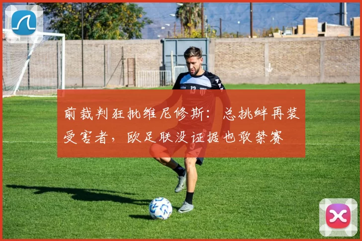 前裁判狂批维尼修斯：总挑衅再装受害者，欧足联没证据也敢禁赛