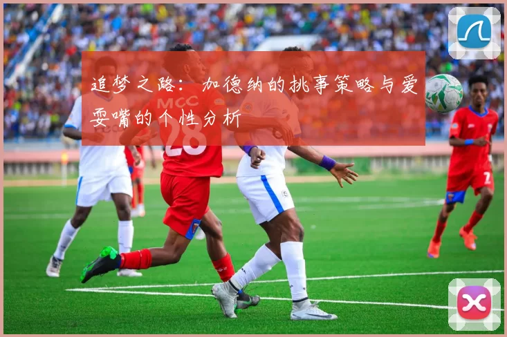 追梦之路：加德纳的挑事策略与爱耍嘴的个性分析